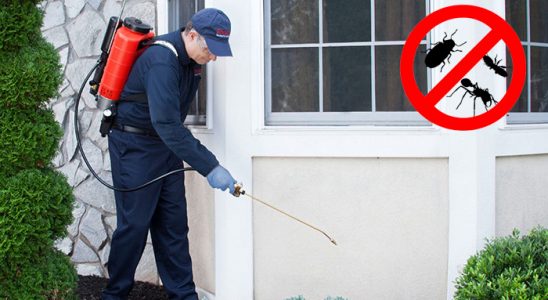 Hayrabolu Hamam Böceği İlaçlama böcek ilaçlama ve haşere kontrolü — ilaclama-tr.com